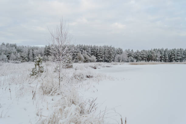istock winter rural scene with snow and white fields 886007296
