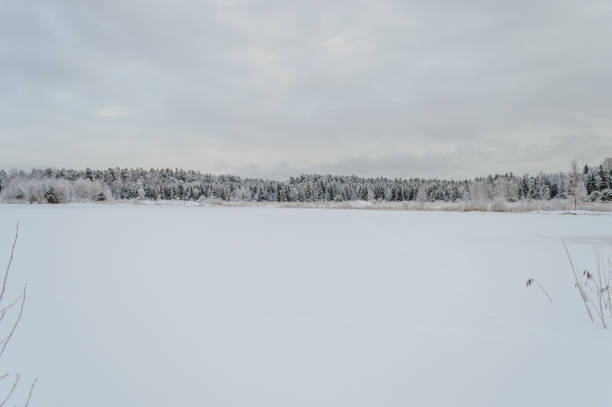 istock winter rural scene with snow and white fields 886007420