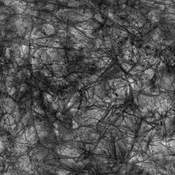 istock Black and white monochrome ink or watercolor background. 886010294