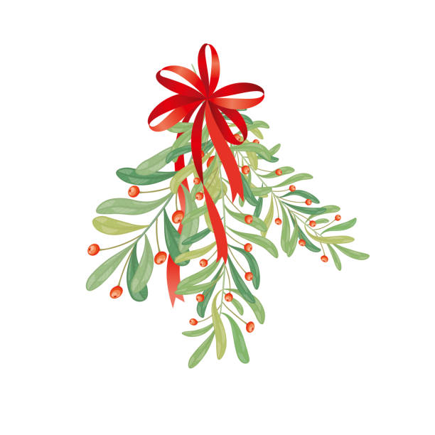 weihnachten-zweig der mistel. illustration für grußkarten, einladungen und andere druckprojekte. - mistletoe stock-grafiken, -clipart, -cartoons und -symbole