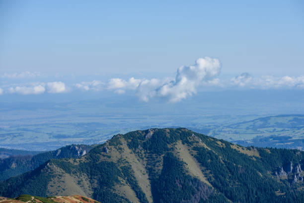 western carpathian mountain tops in  autumn covered in mist or clouds. panoramic view from a distance