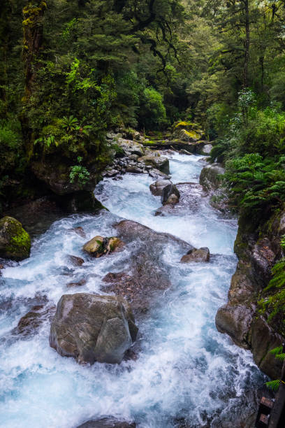 istock Lake Marian fall, New Zealand 886016222