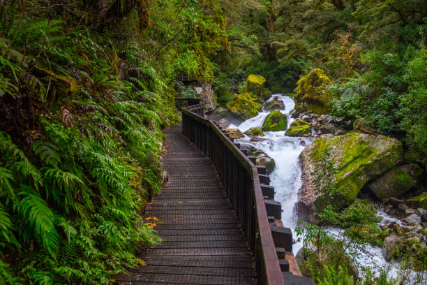 istock Lake Marian fall, New Zealand 886016290