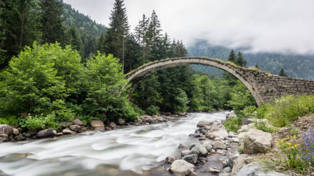 istock Historical Ottoman bridge Taskopru in Senyuva, Rize, Turkey 886016612