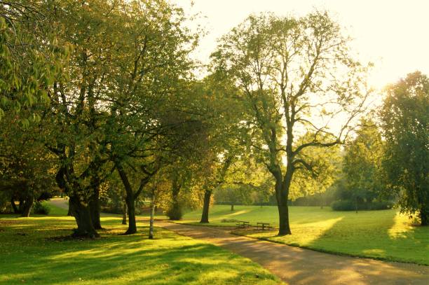 istock Early Autumn Landscape. 886017304