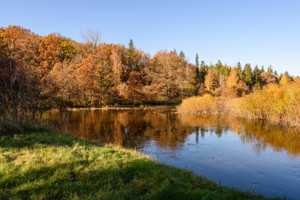 istock lake with water reflections in colorful autumn day with colored trees 886022810