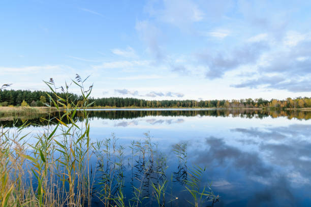istock lake with water reflections in colorful autumn day 886023128