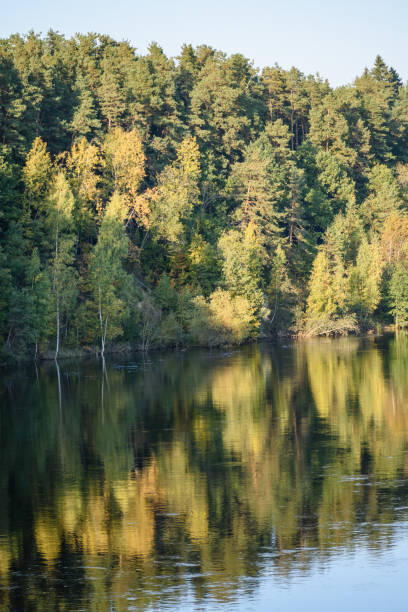 istock lake with water reflections in colorful autumn day 886023160