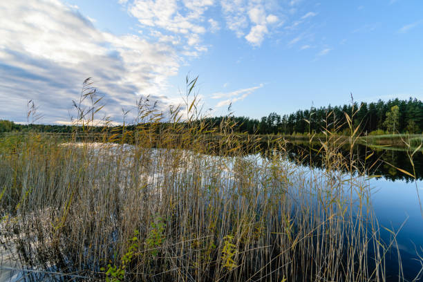 istock lake with water reflections in colorful autumn day 886023260