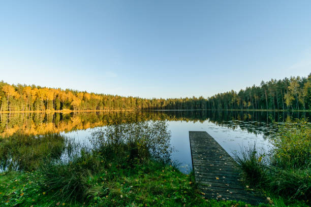 istock lake with water reflections in colorful autumn day 886023304