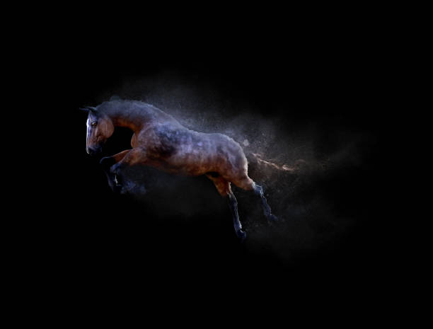 istock A horse moving and jumping 886026272