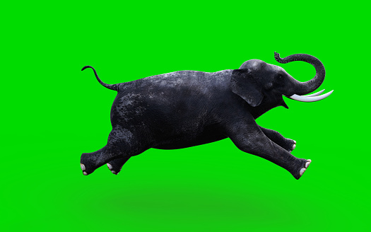 An elephant moving and jumping on green background, 3d illustration