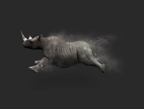 rhino zu bewegen und springen - incoming storm stock-fotos und bilder