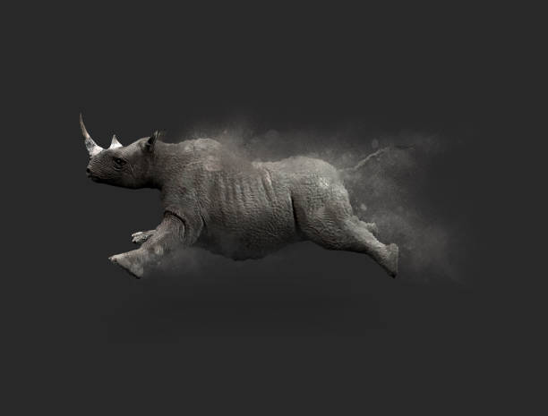 Rhino moving and jumping