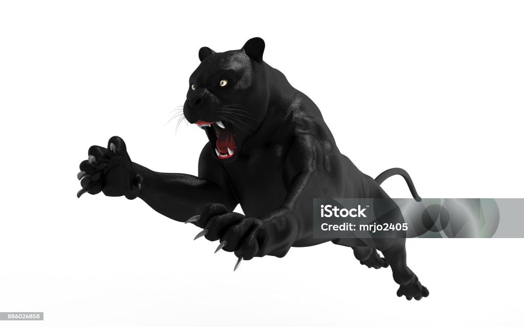 Black Panther Isolate On White Background Stock Photo - Download Image Now  - Leopard, Black Color, Animals Attacking - iStock