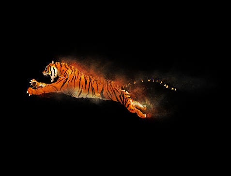 A tiger moving and jumping with dust particle effect on black background, 3d illustration