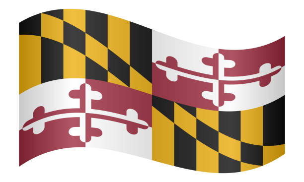 flagge von maryland winken auf weißem hintergrund - maryland flag banner us state flag stock-grafiken, -clipart, -cartoons und -symbole