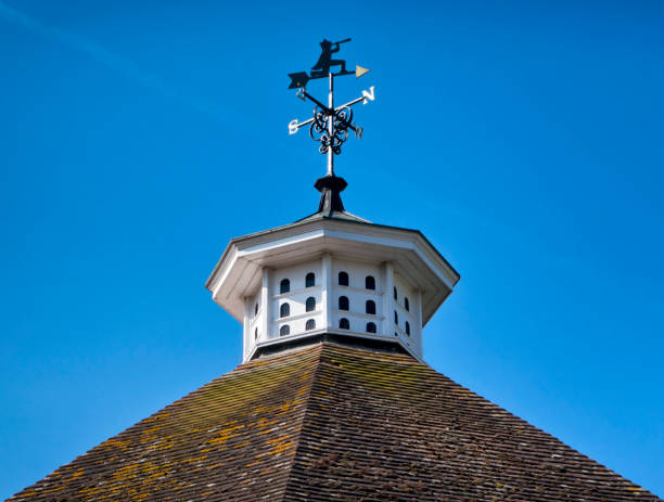 istock Dovecote and weather vane 886045782