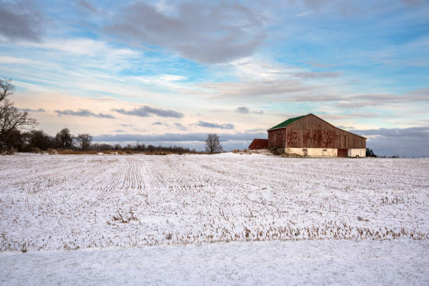 istock Old Barn in a Snowy Field at Sunset in Winter 886046026