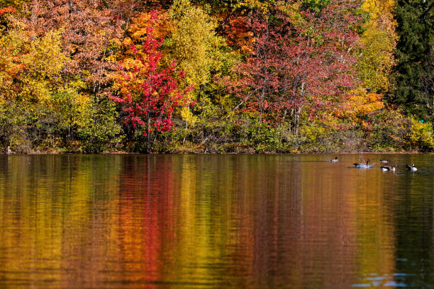 istock Mont-Saint-Bruno National Park in autumn 886046074