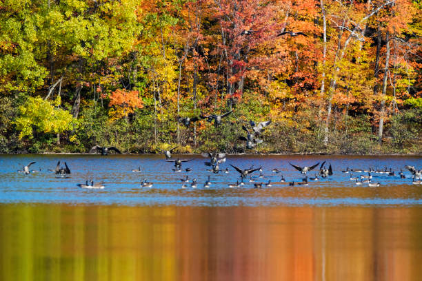 istock Mont-Saint-Bruno National Park in autumn 886051732