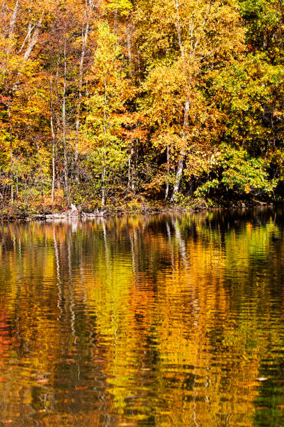 istock Mont-Saint-Bruno National Park in autumn 886056090
