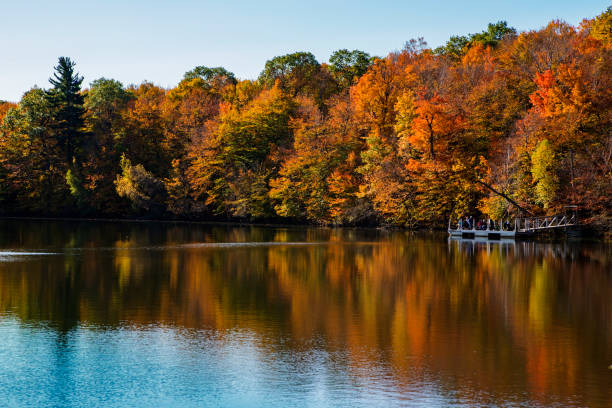 istock Colorful Canadian fall in Mont-Saint-Bruno National Park 886057264