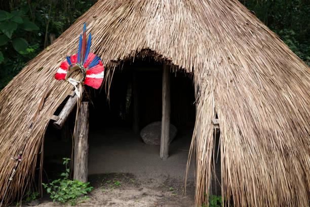 istock Brazilian indigenous peoples. 886060062