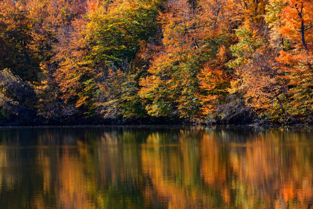 istock Colorful Canadian fall in Mont-Saint-Bruno National Park 886060266