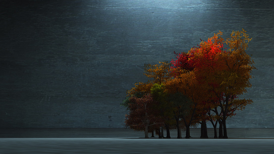Autumnal Trees. 3D rendering