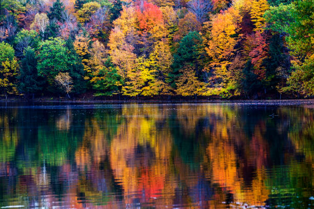 istock Colorful Canadian fall in Mont-Saint-Bruno National Park 886065920