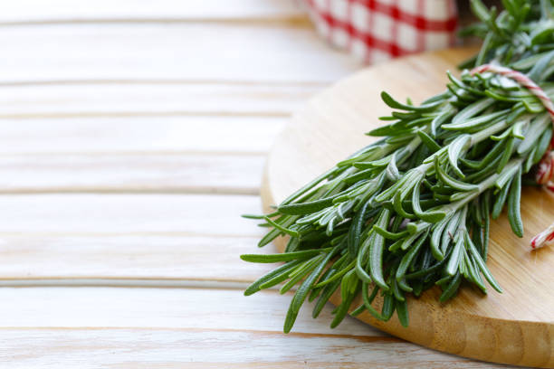 istock fresh green fragrant herb rosemary 886069722
