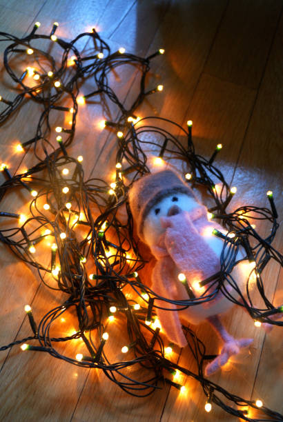 istock Felt toy bird surrounded by christmas lights on the floor. 886074722