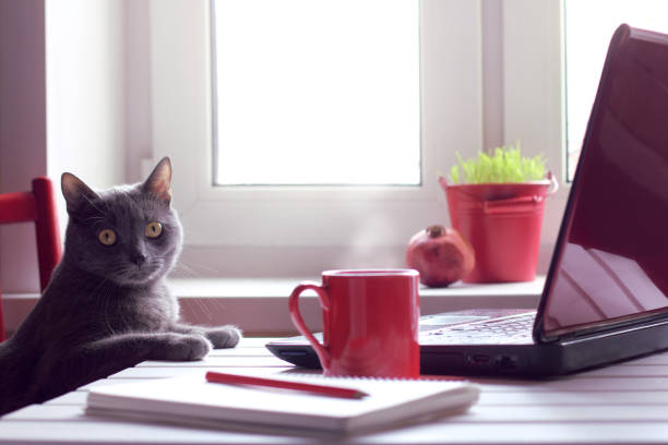 istock tired of working make the coffee break 886091918