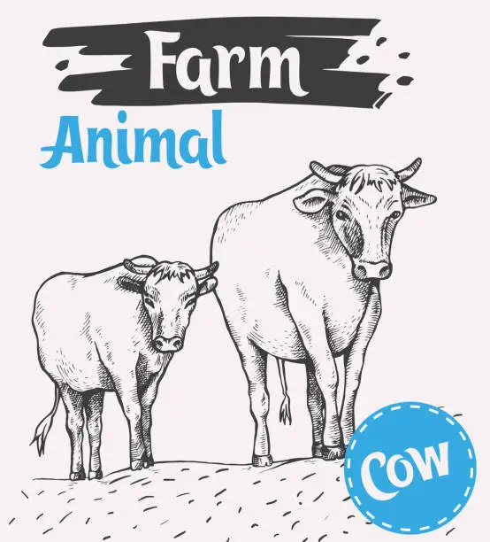 Vector illustration of Cow and a calf walk along the road