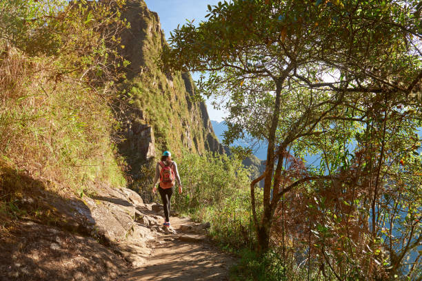 istock Woman walk in forest mountain road 886110204