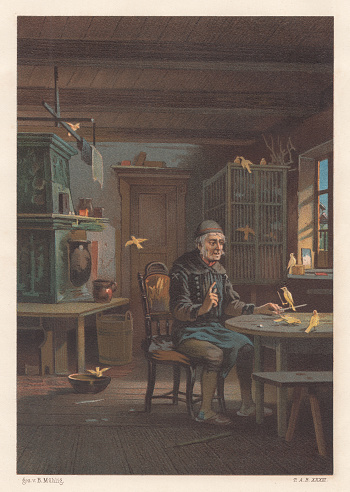 A lover for canary birds in his living room. Nostalgic scene from the past. Lithograph after a drawing by Bernhard Mühlig (German painter, 1829 - 1910), published in 1887.