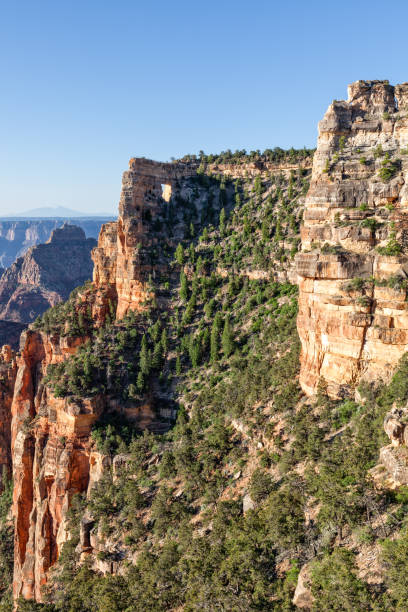 istock North Rim Grand Canyon Landscape 886134790