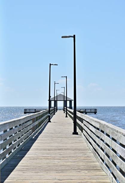 istock long wooden pier with light poles 886135230