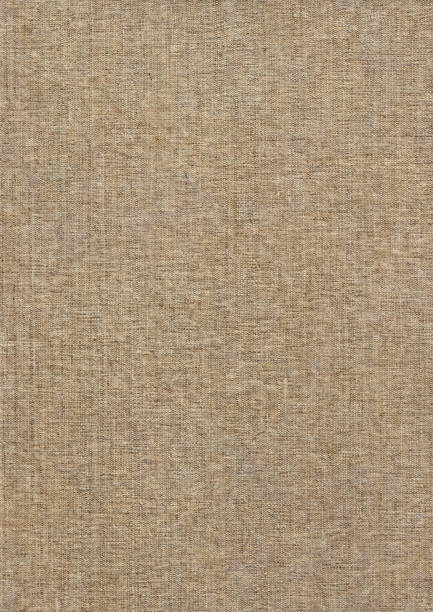 istock High resolution artist's unprimed linen duck canvas coarse grain grunge texture 886138296