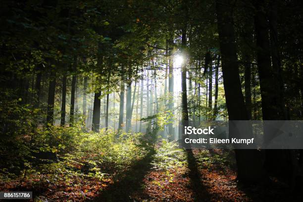 Bright Spot Stock Photo - Download Image Now - Grief, Odenwald, Leaving
