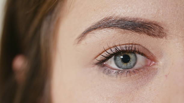 Human Eye with the Pupil Constriction