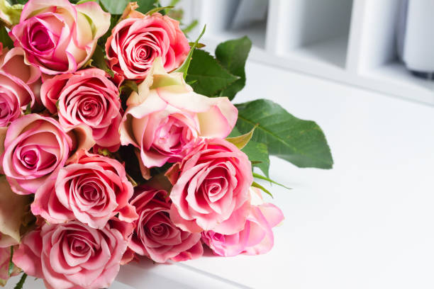 rose rosa in fiore su legno - rose pink flower valentines day foto e immagini stock