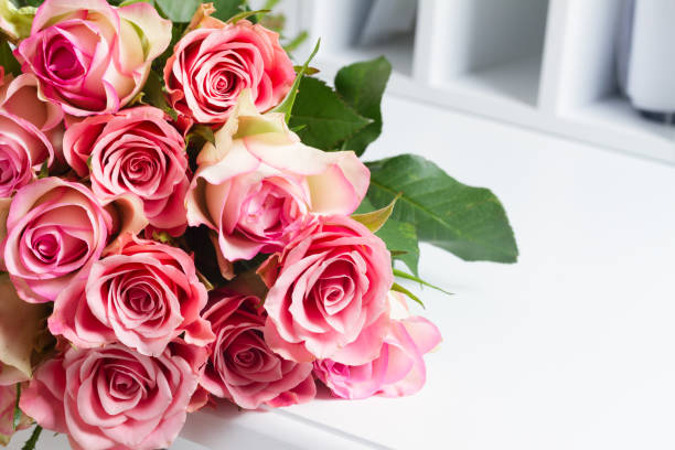 pink blooming roses on wood - rose anniversary flower nobody imagens e fotografias de stock