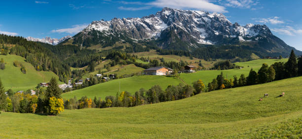 Dienten am Hochkonig Austria Panorama with pasture and mountains in the background.