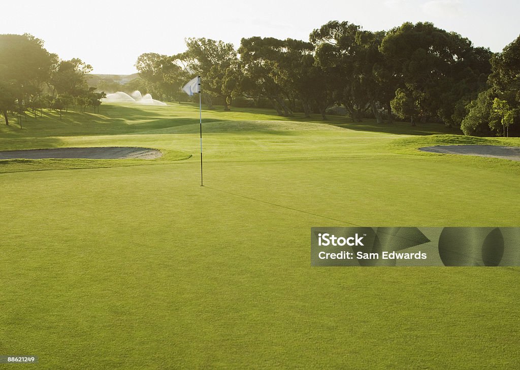 Drapeau sur le putting green du parcours de golf - Photo de Parcours de golf libre de droits