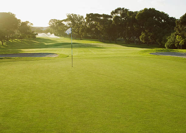 flag on putting green of golf course - golf course stok fotoğraflar ve resimler