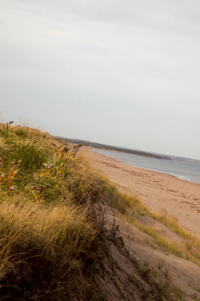 istock Empty dand dunes on coast of Prince Edwards Island 886229402