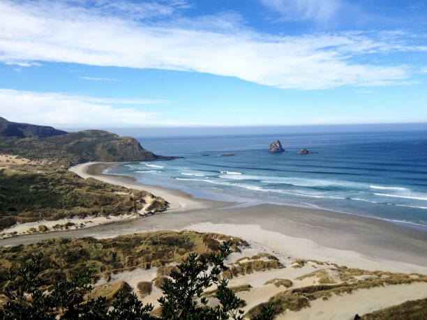 istock Vista de cima Sandfly Bay - Dunedin 886233218