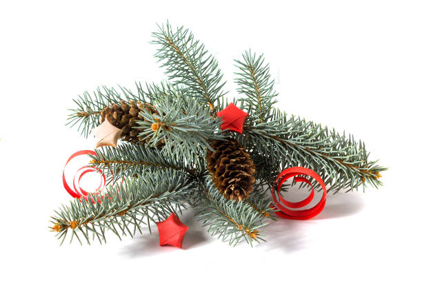 istock Pine branch with cones and paper decorations isolated on white background 886237912